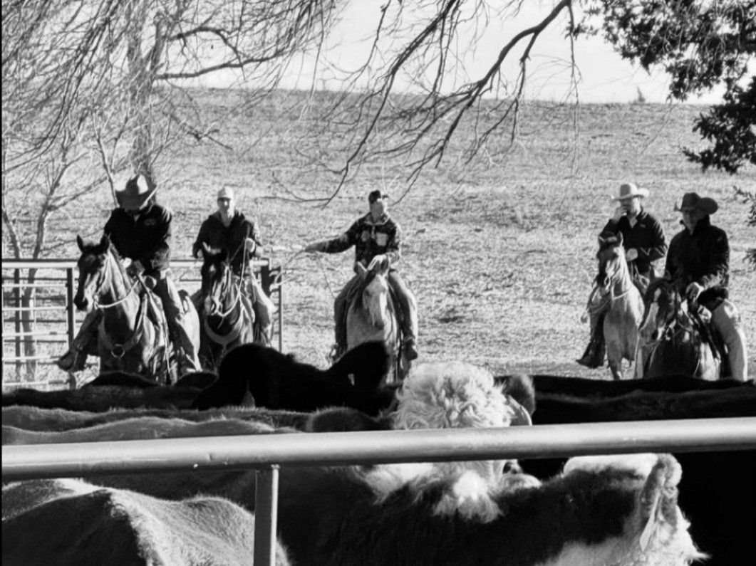 Cowboys on horseback gather around cattle in a rural setting, showcasing traditional ranching practices. The image captures the essence of livestock management in a black and white format, emphasizing the connection between riders and their animals.
