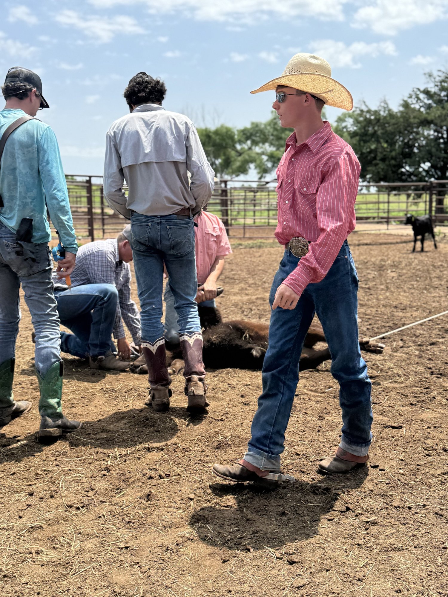 Young cowboy in a straw hat and sunglasses walks past a group of ranch workers tending to a calf in a dusty corral under a blue sky. The scene captures the essence of ranch life and teamwork in cattle handling.