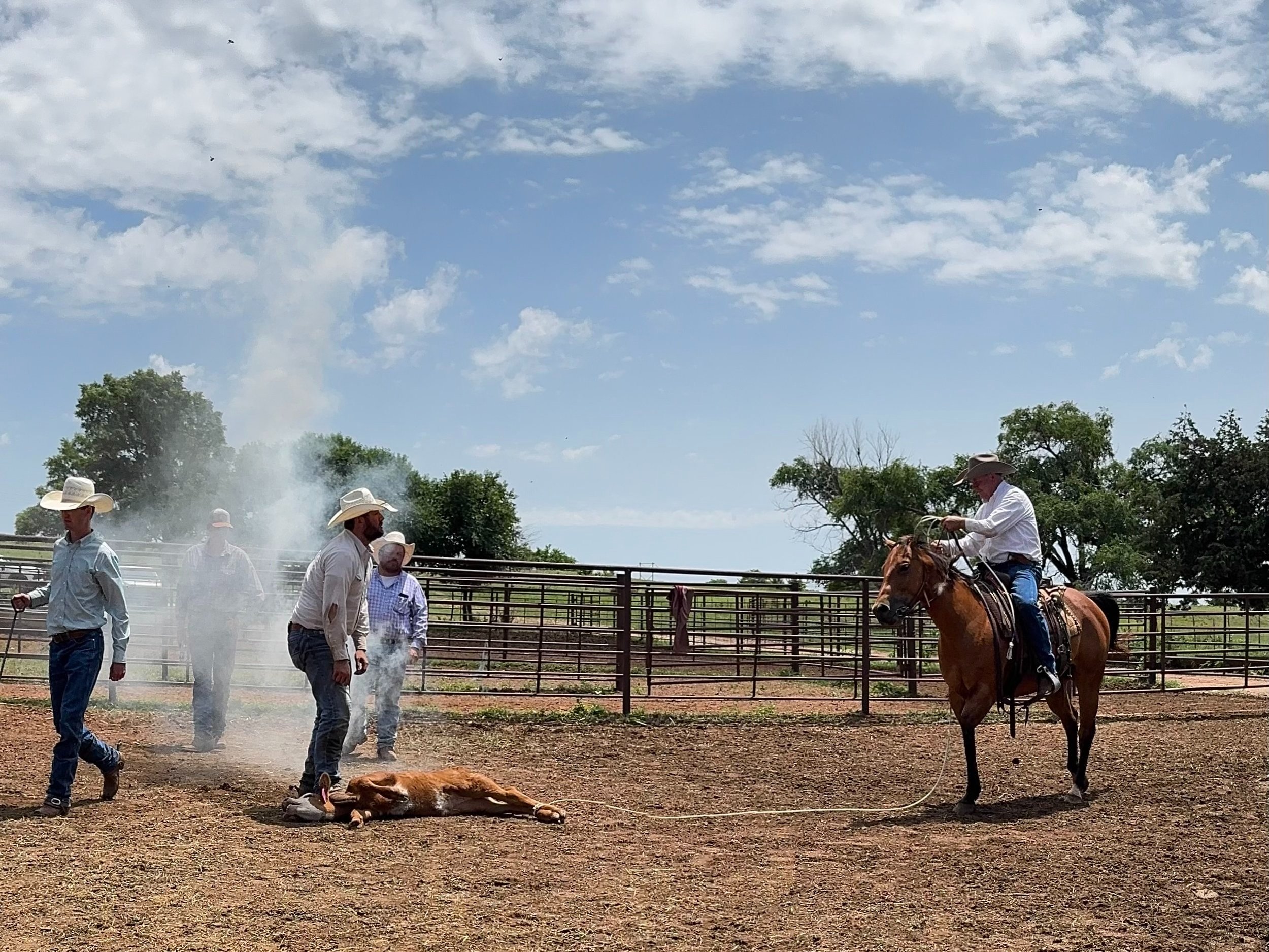 Cowboys working on a ranch, with one riding a horse while others attend to a calf lying on the ground surrounded by smoke. The scene captures the essence of cattle handling in a rural setting under a blue sky with scattered clouds.